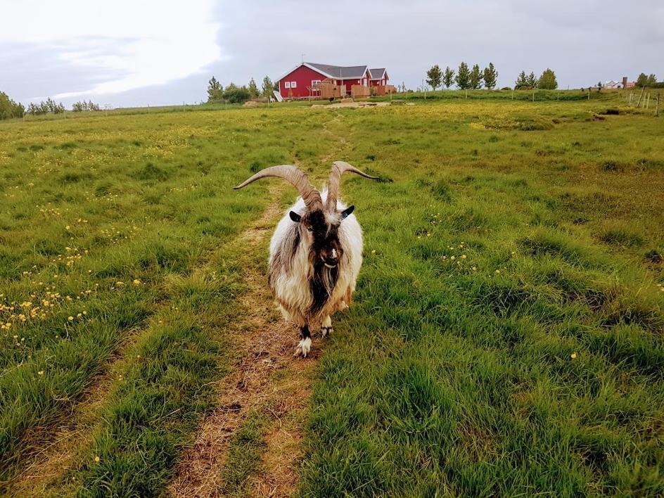 Skalatjorn 斯卡拉特若旅馆酒店 外观 照片